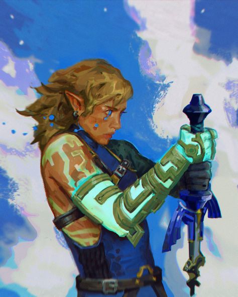 Link Zelda, Zelda Art, Legend Of Zelda Breath, Twilight Princess, Breath Of The Wild, The Legend Of Zelda, Video Game Art, Funky Art, Comic Character