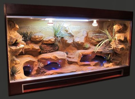 Beardie viv idea...love the LED's for night viewing! Diy Bearded Dragon Enclosure, Bearded Dragon Vivarium, Bearded Dragon Terrarium Ideas, Leopard Gecko Habitat, Bearded Dragon Tattoo, Terrarium Design, Dragon Terrarium, Bearded Dragon Diy, Gecko Tank