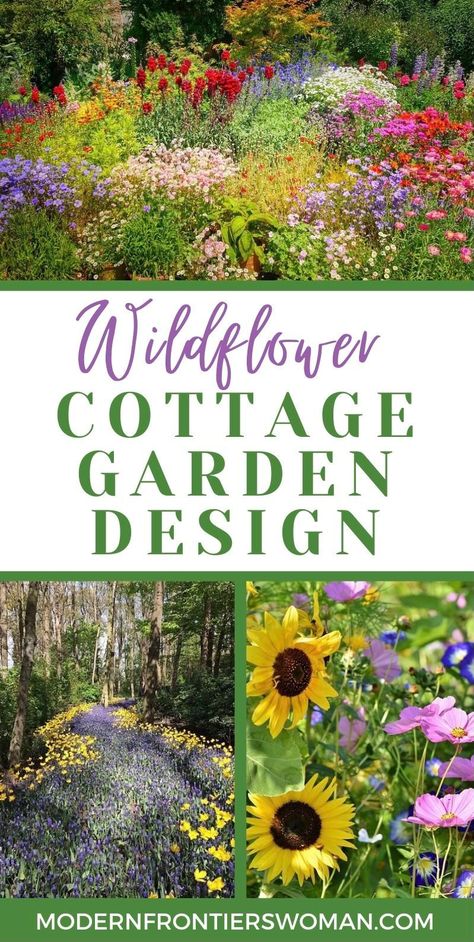 Garden Wild Flowers Landscaping, Northeast Wildflower Garden, Zone 2 Perennials Landscapes, New England Wildflower Garden, Cottage Wildflower Garden, Wildflower Garden Design Layout, Zone 8 Gardening Flower, English Backyard Ideas, Midwest Cottage Garden