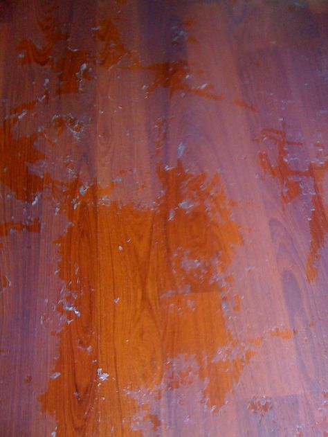 How to remove oily or wax build up from cleaning or polishing solutions from wood floors. Floor Wax, Old Wood Floors, Hardwood Floor Cleaner, Cleaning Wood Floors, Cleaning Painted Walls, Remove Wax, Glass Cooktop, Deep Cleaning Tips, Wood Laminate Flooring