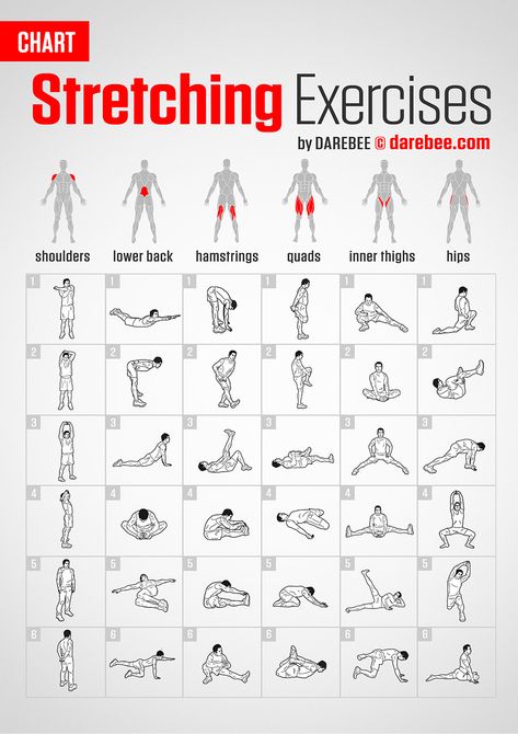 Stretching Exercises | Chart Motivație Fitness, Beginner Workouts, Gym Antrenmanları, Latihan Kardio, Stretch Routine, Latihan Yoga, Gym Workout Chart, Exercise Chart, Calisthenics Workout