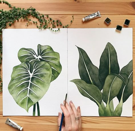 Philodendron Gloriosum, Learn Watercolor Painting, Plant Art Print, Watercolor Plants, 수채화 그림, Plant Painting, Watercolor Art Lessons, Watercolor Pencils, Plant Art