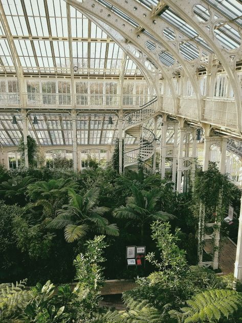 Greenhouse and Palm House of Royal Botanical Gardens, Kew Dark Greenhouse, Greenhouse Gardens, London Tumblr, Greenhouse Aesthetic, Allotment Garden, Victorian Greenhouses, Victorian Greenhouse, Project Architecture, Palm House