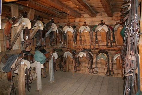 Equine Tack Room Ideas, Tac Room Ideas Horse, Tack Room Ideas Western, Tack Room Western, Western Barn Ideas, Western Tack Room, Small Tack Room Ideas, Tack Organization, Tack Room Ideas