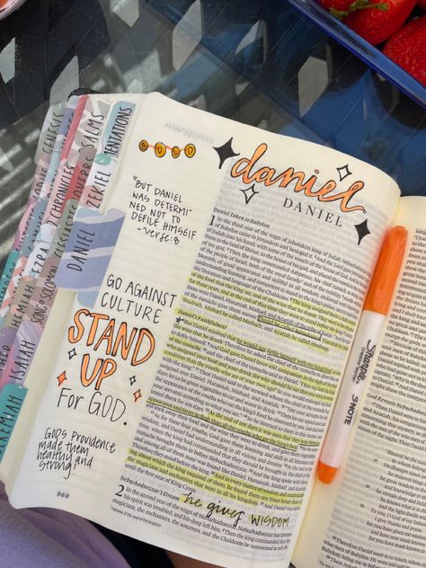 Daniel Bible Journaling, Aesthetic Bibles, Daniel Bible, Bible Journal Notebooks, Book Of Daniel, Study Notebook, Bible Doodling, Free Bible Study, Devotional Journal