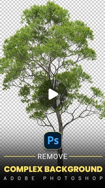 Remove Background In Photoshop, Complex Background, Photoshop Edits, Photoshop Course, Adobe Photoshop Design, Adobe Tutorials, Adobe Photoshop Tutorial, Learn Photoshop, Trending Shorts