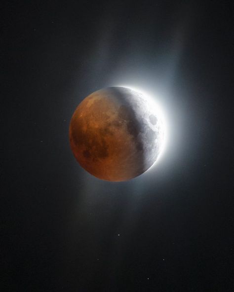 EarthSky | Photos – total lunar eclipse – November 8, 2022 Eclipse Photos, Total Lunar Eclipse, Astronomy Pictures, Haunting Photos, Today Images, Hdr Photos, Wild Moon, Lunar Calendar, Lunar Eclipse