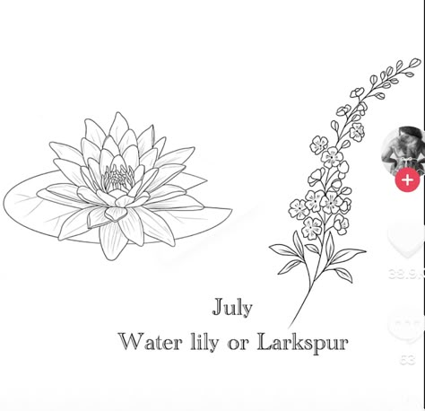 Larkspur Black And White Tattoo, Lukspar Flower Tattoo, Larkspur Water Lily Tattoo, July Water Lily Tattoo, Water Lilly Tattoo Stencils, July Birth Flower Tattoo Water Lilies, Water Lily Outline, Larkspur Tattoo Simple, Flower Tattoo Upper Arm