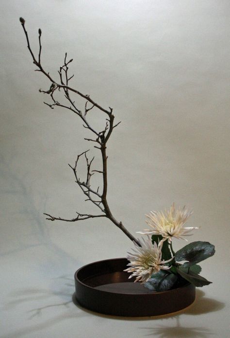 Moribana with white chrysanthemum and tulip magnolia Ikebana Chrysanthemum, Large Ikebana Arrangements, Moribana Floral Arrangements, Ikebana Basket Arrangement, Ikebana Japanese, Japanese Floral Design, Art Floral Japonais, Tulip Magnolia, Rose Ikebana