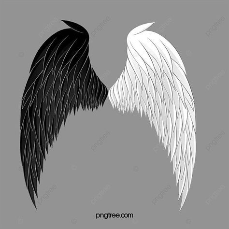 Logo Fotografia, Feather Png, Angel Wings Png, Wings Sketch, Wing Angel, Angel Wings Drawing, Devil Angel, Wings Png, Angel Feather