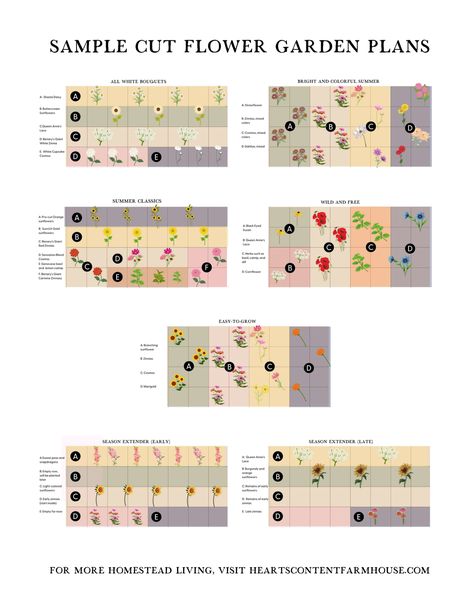 SAMPLE CUT FLOWER GARDEN PLANS.pdf Flower Height Chart, Mini Cut Flower Garden, Zone 9 Cut Flower Garden, Cut Flower Garden Raised Beds, Flower Garden Layout Ideas Design, Easy Cut Flower Garden, Cut Flower Raised Bed, Cut Flower Garden Layout Raised Beds, Small Cut Flower Garden Layout