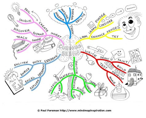 Drawing a Mind Map from Start to Finish | Mind Map Inspiration Mind Map Ideas, Mind Map Examples, Map Inspiration, Brain Drawing, Mind Map Design, Map Ideas, Thinking Maps, Central Idea, Biology Lessons