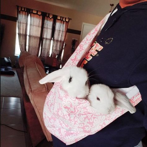 Bunny Sling Carrier Carry Your Rabbit Small Dog Cat or - Etsy Bunny Travel Carrier, Bunny Carrier, Bunny Bonding, Bunny Cuddle, Rabbit Carrier, Rabbit Room, Bunny Ideas, Carrier Pattern, Rabbit Accessories