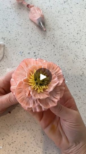 60K views · 1.1K reactions | Pretty flowers cupcakes | Pretty flowers cupcakes 🌸🌼🌺 | By Love To Eat | Facebook Cupcakes Pretty, Buttercream Flowers Cupcakes, Buttercream Flowers Tutorial, Cupcake Flowers, Royal Icing Templates, Cupcake Videos, Creative Cupcakes, Cupcake Decorating, Flower Cupcakes