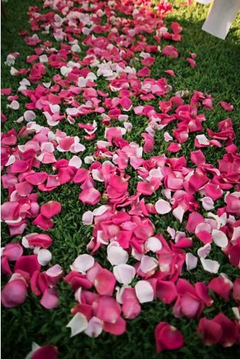 Rose Petal Path in Shades of Pink Wedding Aisle Outdoor, Aisle Flowers, Flowers Petals, Ceremony Flowers, Wedding Aisle, Rose Petals, Pink Rose, Flower Decorations, Wedding Decorations