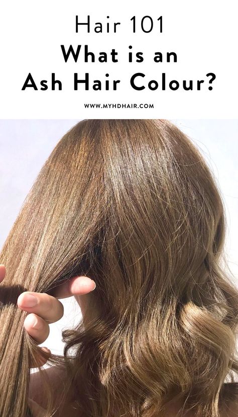 Hair 101: What is an Ash Hair Colour? Tell me more about the #1 selling Blonde. Ash Hair Colour, Hair Color Swatches, Warm Hair Color, Brassy Hair, Ash Blonde Hair Colour, Dark Blonde Hair Color, Ash Hair, Hair 101, Ash Hair Color