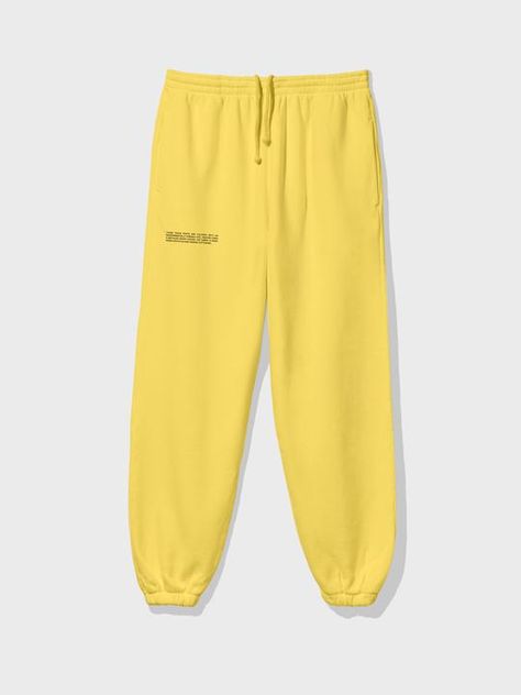 Comfy Outfit For School, Track Pants For Women, Yellow Sweatpants, Designer Joggers, Saffron Crocus, Newsletter Signup, Shade Of Yellow, Saffron Yellow, Fruits And Flowers