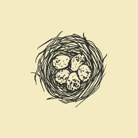 Hand drawn nest illustration royalty free illustration Birds Nest Illustration, Bird Nest Illustration, Art Inspiration Wallpaper, Nest Illustration, Nest Art, Inspiration Wallpaper, Bird Eggs, Beautiful Illustration, Free Illustration