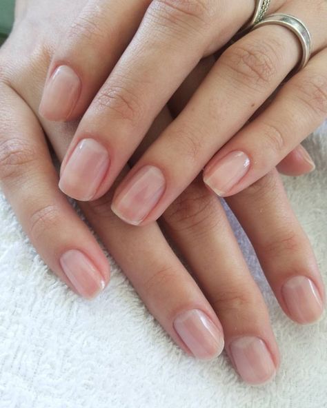 Natural Summer Nails, Short Classy Nails, Nail Shapes Squoval, Natural Nails Manicure, Summer Nails 2024, Clean Nails, Nails 2024, Manicure Y Pedicure, Healthy Nails