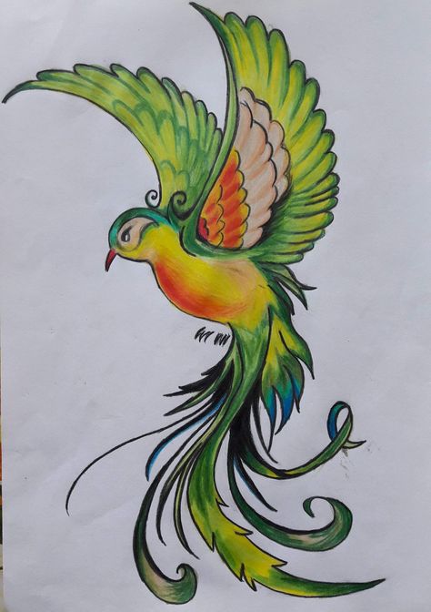 Ibong Adarna Picture, Eagle Pictures, Color Pencil Art, Color Pencil, Pencil Art, Art Decoration, Pattern Wallpaper, Pattern Art, Colored Pencils