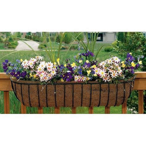 Black Rectangle Coco Liner/Mild Steel Canterbury Horse Trough Planter $40 to $50 Horse Trough Planter, Railing Flower Boxes, Deck Railing Planters, Horse Trough, Trough Planter, Deck Planters, Boxes Ideas, Railing Planters, Trough Planters