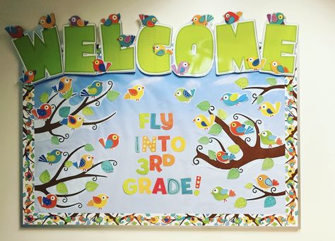 Hummingbird Classroom Theme, Birds Theme Classroom Decor, Bird Bulletin Board Ideas, Bird Theme Classroom, Boho Birds Classroom Theme, Theme Classroom Ideas, Bulletin Boards Ideas, Bird Bulletin Boards, Classroom Areas