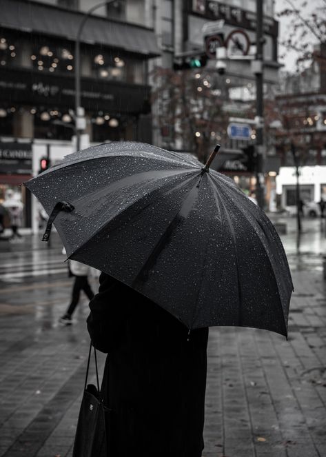 Umbrella Girl Aesthetic, Black Umbrella Aesthetic, Umbrella Aesthetic, Umbrella Photo, Cartoons Dp, White Umbrella, Umbrella Girl, Night Moves, Black Umbrella