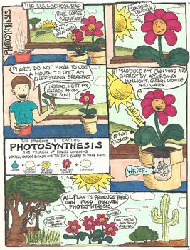 Photosynthesis Comic Photosynthesis Poster, Teaching Photosynthesis, What Is Photosynthesis, Photosynthesis Middle School, Process Of Photosynthesis, Comic Strip About Photosynthesis, School Comics, Energy From The Sun, Apologia Biology