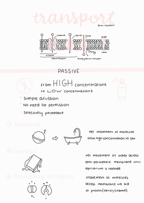 Aesthetic biology cell membrane summary notes for school Membrane Transport Notes, Transport Across Cell Membrane Notes, Active Transport Notes, Passive Transport Notes, Active And Passive Transport, Passive Transport Biology, Active Transport Biology Notes, Cell Transport Notes, Active Transport Biology