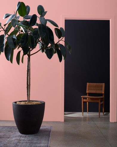 Titanic Rose 2092-50 | Benjamin Moore Terra Cotta Paint Color, Titanic Rose, Paint Color Swatches, Terracotta Paint, English Wallpaper, Pink Paint Colors, Red Mirror, Benjamin Moore Colors, Pink Paint