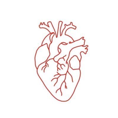 Tattoo Henna, Heart Illustration, Human Heart, Simplistic Tattoos, Minimal Tattoo, Piercing Tattoo, Fine Line, Mini Tattoos, Minimalist Tattoo