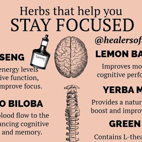 Healers of the Light on Instagram: "These herbs are known for their ability to enhance focus, concentration, and mental clarity, which can be particularly beneficial for work.  Incorporating these herbs into your daily routine, either through supplements, teas, or aromatherapy, can help enhance focus and productivity.  Pairing this with mindfulness practices like meditation and journaling can improve your focus and memory.  #focus #herbs #healing" Supplements For Memory And Focus, Supplements For Focus And Concentration, Herbs For Focus And Concentration, Focus Herbs, Herbs For Focus, Herbal Flowers, Herbs Healing, Spiritual Girl, Focus Concentration