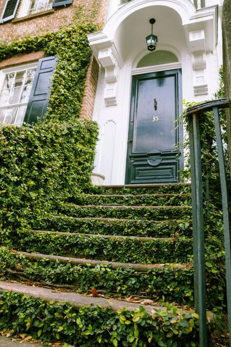 "Every flower about a house certifies to the refinement of somebody. Every vine climbing and blossoming tells of love and joy." -Robert G. Ingersoll Garden Steps, Front Steps, Fancy Houses, Front Entrances, Garden Tours, Yard Landscaping, Garden Inspiration, Garden Arch, Outdoor Garden