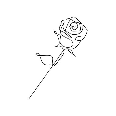 Red Glitter Background, Rose Vector, 심플한 그림, Single Line Drawing, Black And White Sketches, Continuous Line Drawing, Roses Drawing, Line Art Tattoos, Tattoo Feminina