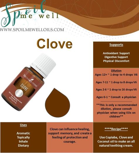 Clove Oil Benefits, Young Living Clove, Essential Oil Education, Clove Essential Oil, Essential Oils Health, Yl Essential Oils, Clove Oil, Living Essentials Oils, Young Living Oils