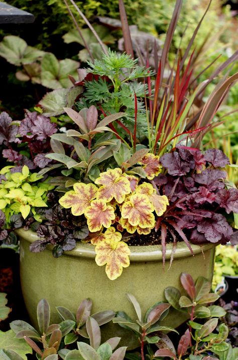 Design Tricks, Container Garden Design, Pot Garden, Container Gardening Flowers, Fine Gardening, Container Design, Have Inspiration, Garden Containers, Container Garden