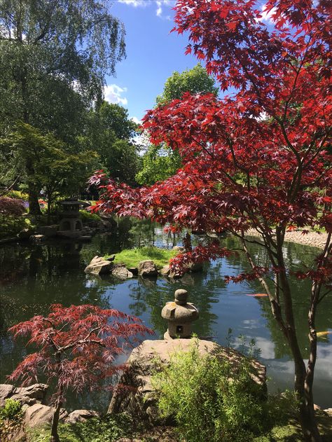 Holland Park Kyoto Gardens Japanese Garden Kyoto Garden London, Kyoto Garden, Holland Park, London Aesthetic, Fourth Wall, Japanese Garden, Kyoto, Golf Courses, London