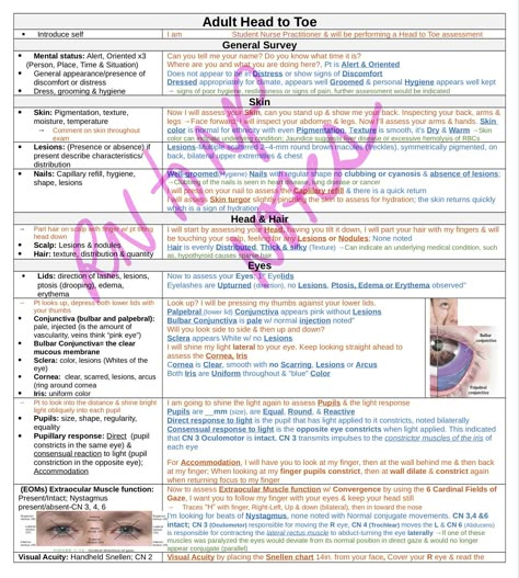 NP or RN head to toe Adult assessment study guide in order for the NP student can also be used in RN school. 12 Pages Exact order: General Survey (Mental status) Skin Head & Hair Eyes (includes images) Ears (includes images) Nose & Sinuses (includes images) Mouth & Pharynx (includes images) Nodes (includes images) Neck (includes images) Heart (includes images) where to auscultate Peripheral Vascular (includes images) palpation of all pulses in order and inspection Thorax & Lungs (includes images Pediatric Nursing Study Guide, Head To Toe Assessment Nursing, Np Student, Patient Assessment Nursing, Assessment Nursing, Health Assessment Nursing, Nursing School Studying Cheat Sheets, Np School, Nurse School