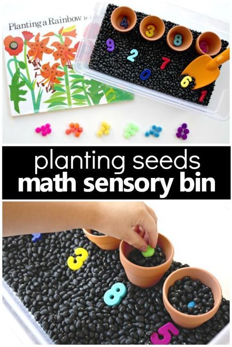 For a preschool seed or gardening theme create a counting seeds gardening sensory bin. This sensory bin allows for hands-on exploration of planting seeds right into the "soil" all while working on number recognition, counting, and one-to-one correspondence. #preschool #sensory #math #spring #kidsactivities Gardening Sensory Bin, Spring Theme Preschool Activities, Spring Sensory Play, Seeds Preschool, Math Activities For Toddlers, Spring Sensory, Planting A Rainbow, Spring Theme Preschool, Spring Preschool Activities