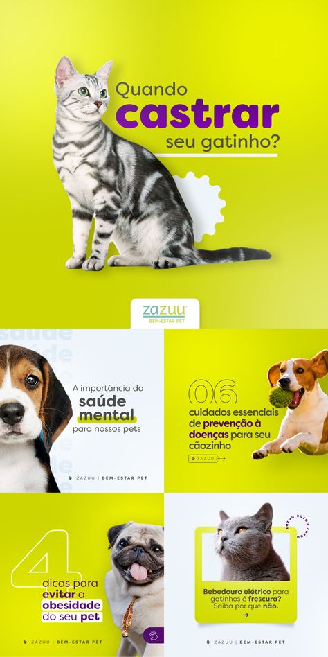 The second part, in green, purple and white. Clean and cute design for a pet shop / pet vet / pet wellness brand located in São Paulo, Brasil. Dogs and cats owners can count on zazuu for help. Checkout my Behance for the complete project. Key Words: poster reference dog pet cat mental healthy bulldog simple creative design banner Pet Shop Poster Design, Cosmetic Creative Ads, Website Shop Design, Petshop Design Pet Store, Dog Social Media, Dog Banner, Wellness Social Media, Words Poster, Poster Reference