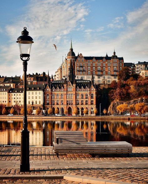 EARTHOFFICIAL on Instagram: “Autumn in Stockholm, Sweden 🍁🍂🇸🇪 | Photography by © (@saltis77) #earthofficial” Landscaping Painting, August Moon, Visit Stockholm, Visit Sweden, Sweden Travel, City Breaks, Voyage Europe, World Photo, Street Lamp