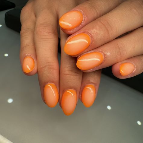 “Tangerine 🍊 “ . . . . . #nails #nailsofinstagram #nailart #nails💅 #nailinspo #nailsdesign #nailsart #nailpolish #nailswag #nailaddict #nailsbyphiana #stylishnails #trendynails #nailsnailsnails #nailsdesign #nailsinspo#dippowdernails #acrylicnails Pearly Orange Nails, Creamsicle Orange Nails, Orangy Red Nails, Papaya Whip Nails Gel Polish, Tangerine Nail Polish, Swag Nails, Trendy Nails, Stylish Nails, Nail Inspo