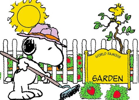 Snoopy Garden, Gardening Memes, Woodstock Snoopy, Famous Gardens, Snoopy Pictures, Better Homes And Garden, Gardening Shirts, Charlie Brown And Snoopy, Peanuts Gang