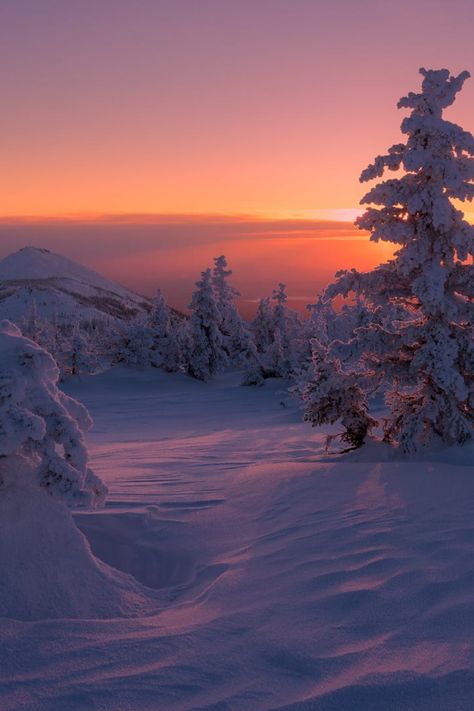 winter forest sunset Winter Sunset Pictures, Sunset In A Forest, Sunset Forest Wallpaper, Winter Sunset Wallpaper, Winter Forest Aesthetic, Winter Forest Wallpaper, Sunset In The Forest, Sunset In Winter, Christmas Sunset