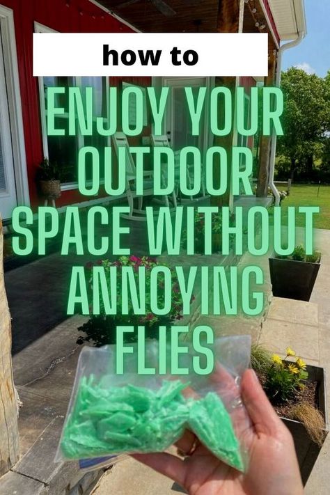 Check out the best way to keep flies and spiders away in garden or front porch. Ways To Keep Spiders Out Of House, Spray For Spiders Outside, Diy Bug Repellent For Porch, Keep Flys Off Porch, Homemade Fly Repellent, Irish Soap For Flies, How To Deter Flies Outside, Natural Spider Repellent Outdoor, Keep Flies Out Of House