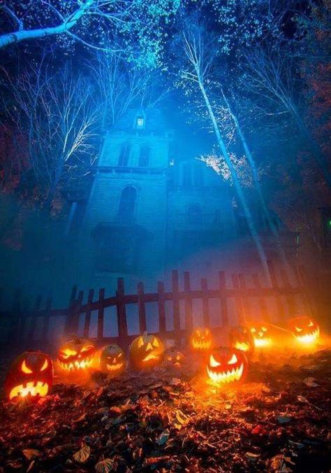 30 Mysterious Halloween Lighting Ideas That Improve Your Outdoors | Home Design And Interior Spooky Halloween Pictures, Spooky Halloween Food, Spooky Halloween Costumes, Halloween Outside, Spooky Halloween Party, Halloween Tattoo, Halloween Artwork, Spooky Halloween Decorations, Halloween Scene