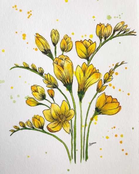 Freesia Flower Painting, Freesia Painting, Freesia Drawing, Freesia Watercolor, Freesia Flower, Acrylic Flower Painting, Watercolor Pictures, Diy Watercolor Painting, Floral Drawing