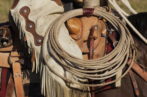 Cowboy Equipment. Closeup of cowboy in saddle with lasso , #ad, #Closeup, #Equipment, #Cowboy, #lasso, #saddle #ad Cowboy Lasso, Reference Photos, Old West, Rodeo, Cowboy Boots, Cowboy Hats, Stock Images Free, Saddle, Art Reference