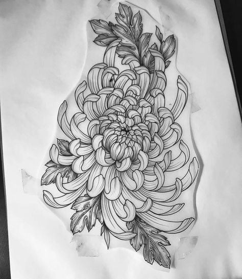 Japanese Flower Tattoo, Tattoo Floral, Chrysanthemum Tattoo, Clever Tattoos, Muster Tattoos, Floral Tattoo Sleeve, Tattoo Portfolio, Knee Tattoo, Subtle Tattoos