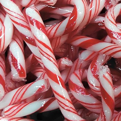 Candy Cane Wallpaper, Cane Wallpaper, Christmas Booth, Mini Candy Canes, Happy Birthday Jesus, Christmas Feeling, Holiday Wallpaper, Winter Wallpaper, Christmas Wonderland